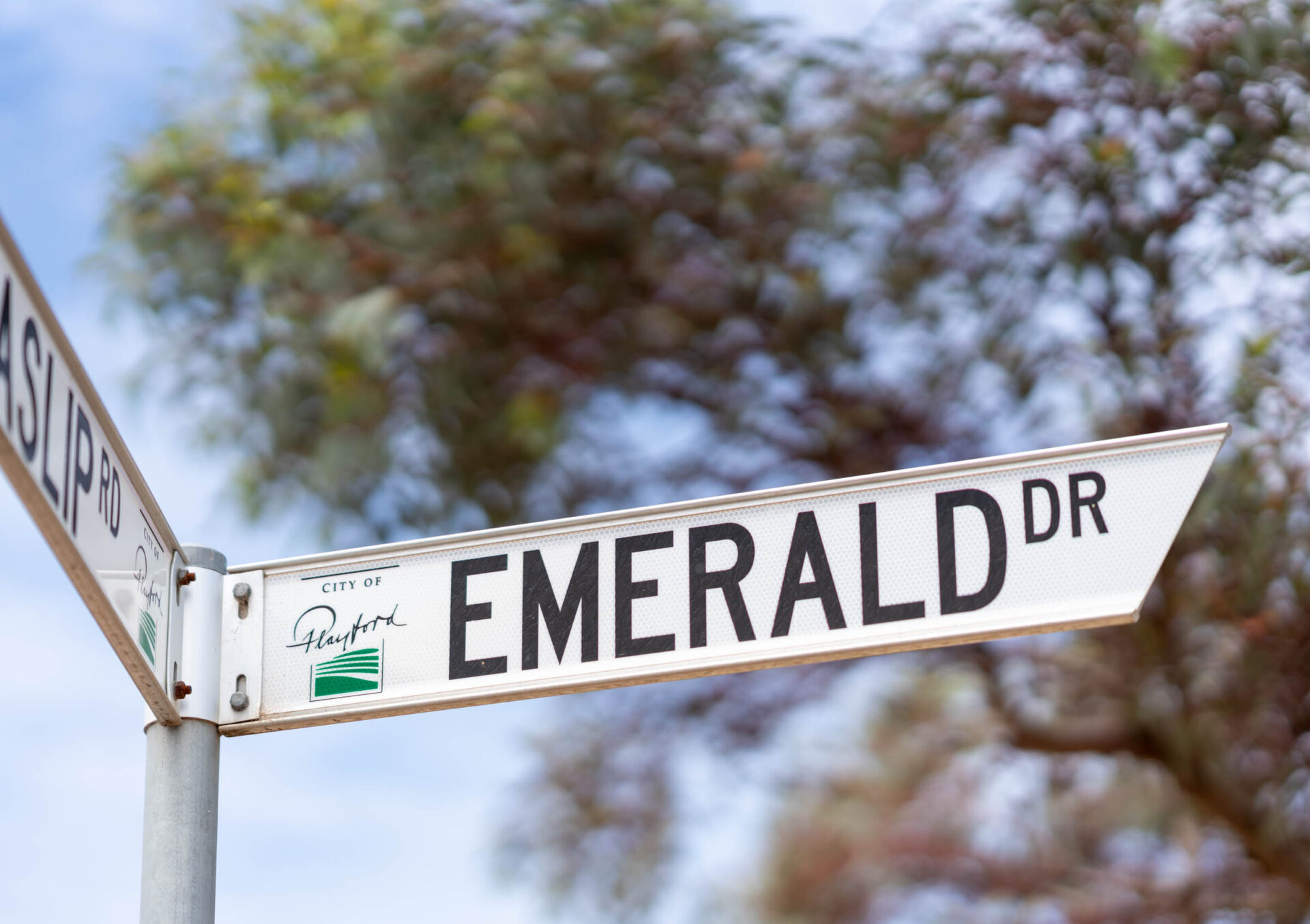 JMRE-Emerald-Estate-Angle-Vale-20241121_ADS7114