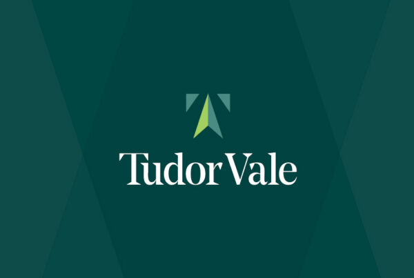 Tudor Vale Estate